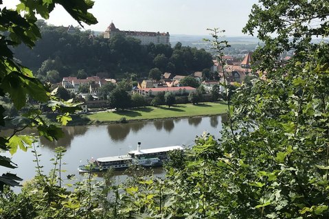 Entlang des Sächsischen Weinwanderweges mit Blick auf Pirna.