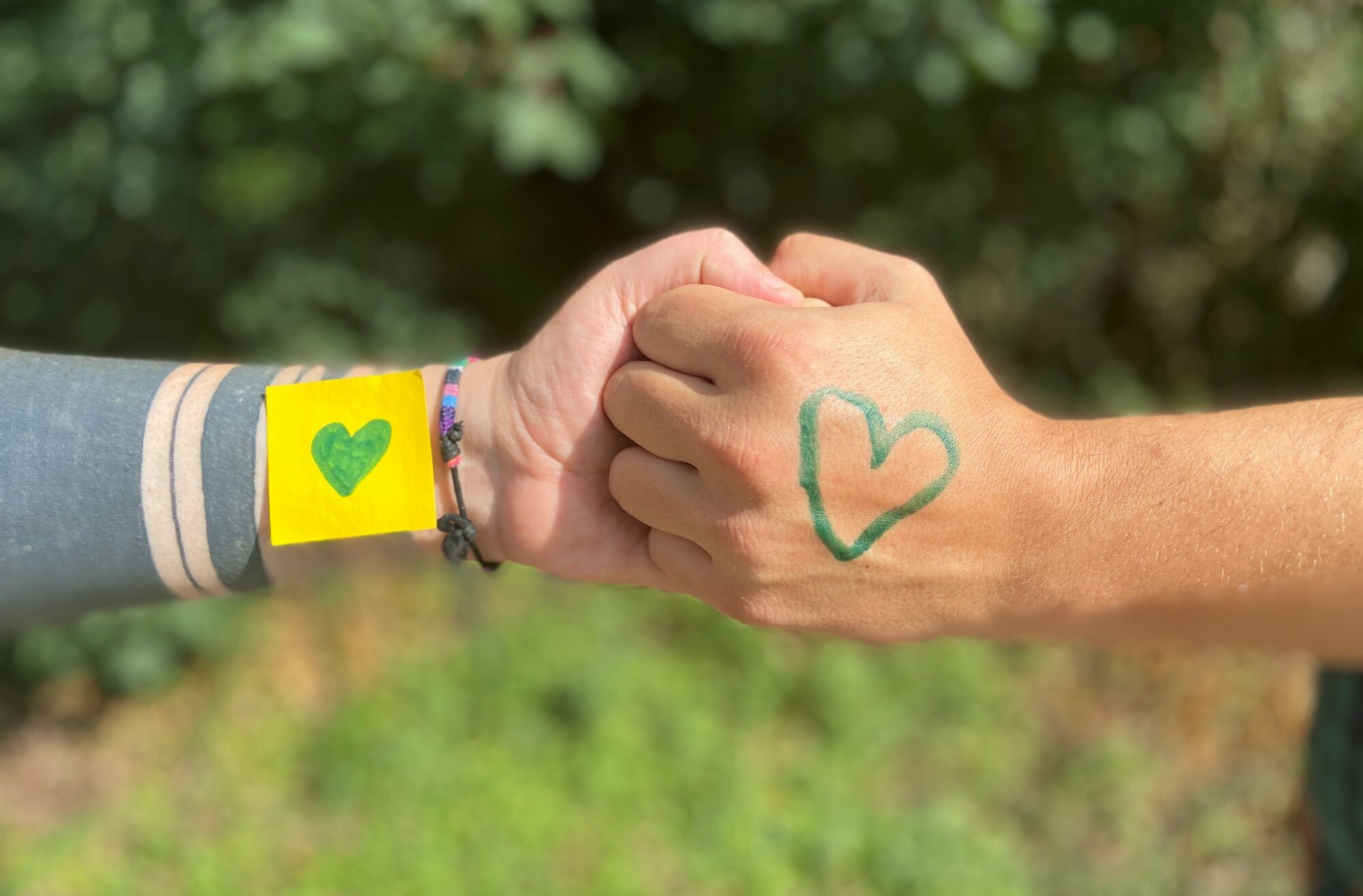 A green heart of solidarity – Dresden