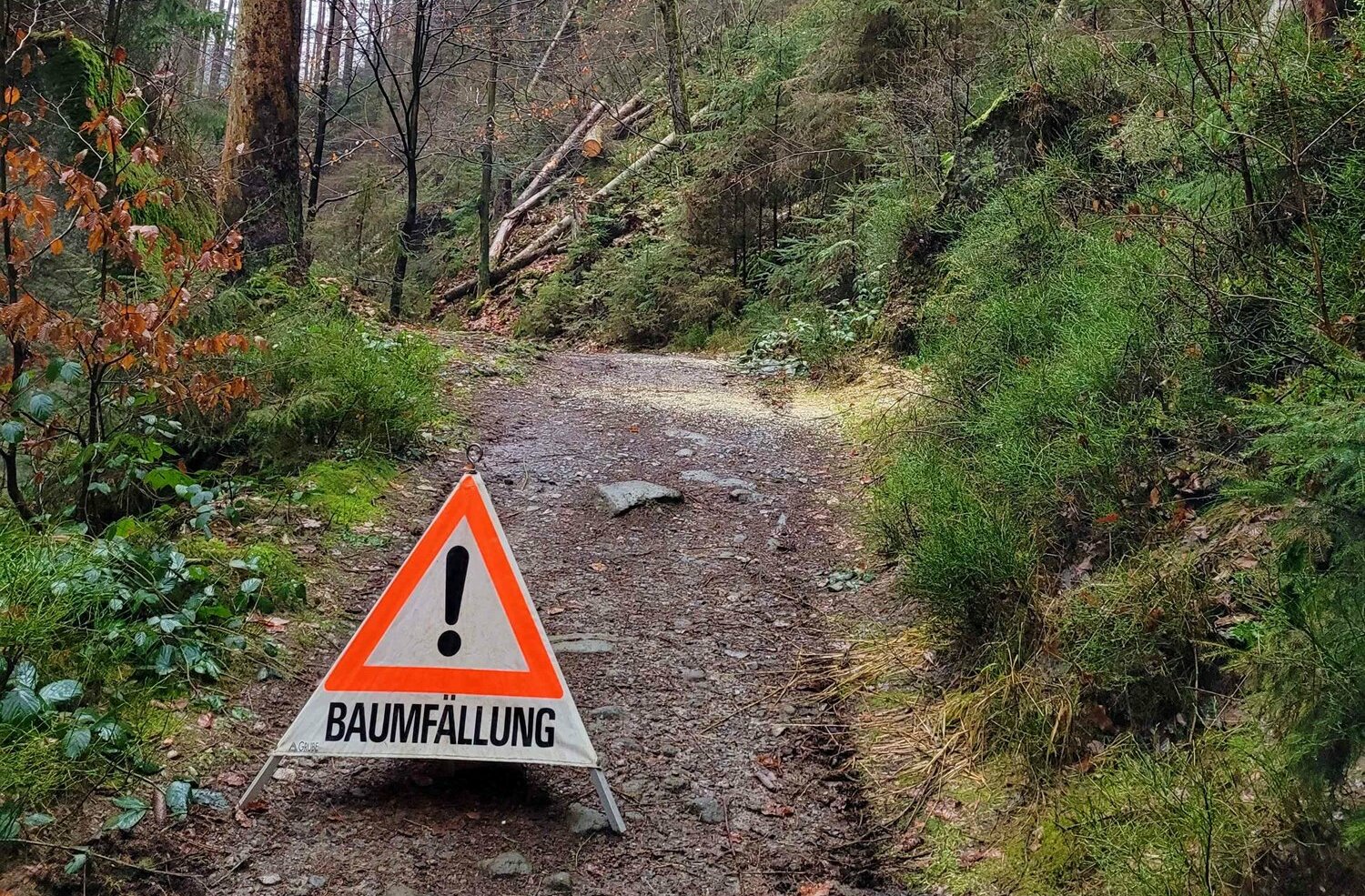 Arbeiten An Wanderwegen Im Nationalpark - Landkreis Sächsische Schweiz ...