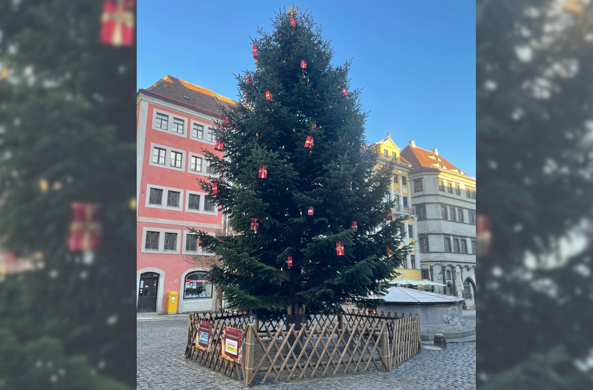 Görlitzer Weihnachtsbaum wird verlost Landkreis Görlitz WochenKurier