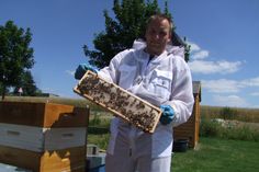Die sechs Bienenvölker von Daniel Neubauer, produzieren jährlich zwischen 150 und 200 Kilogramm Honig.