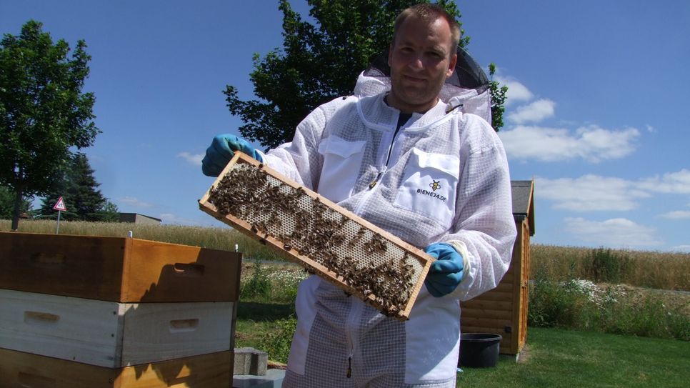 Die sechs Bienenvölker von Daniel Neubauer, produzieren jährlich zwischen 150 und 200 Kilogramm Honig.