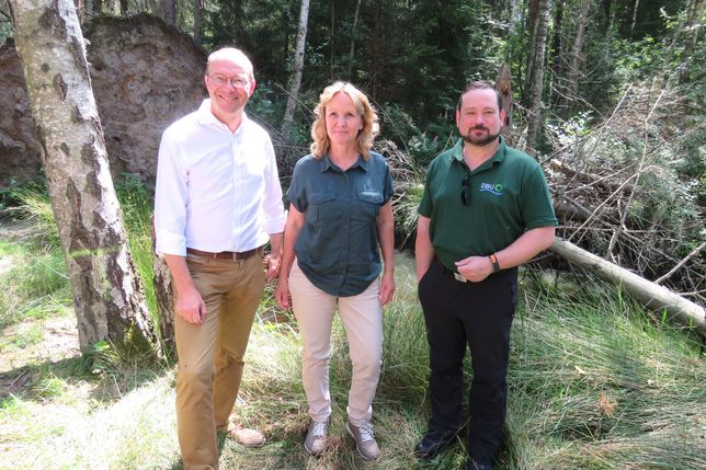 Sachsens Umweltminister Wolfram Günther, die Bundesumweltministerin Steffi Lemke und der Generalsekretär der Deutschen Bundesstiftung Umwelt, Alexander Bonde, beim Besuch im Daubaner Wald (v.l.n.r.).