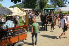 Auf dem Bergwiesenfest gibt es auch dieses Jahr wieder viele Themen rund um die Natur zu entdecken.