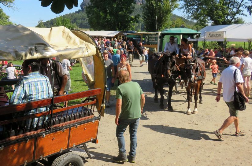 Auf dem Bergwiesenfest gibt es auch dieses Jahr wieder viele Themen rund um die Natur zu entdecken.