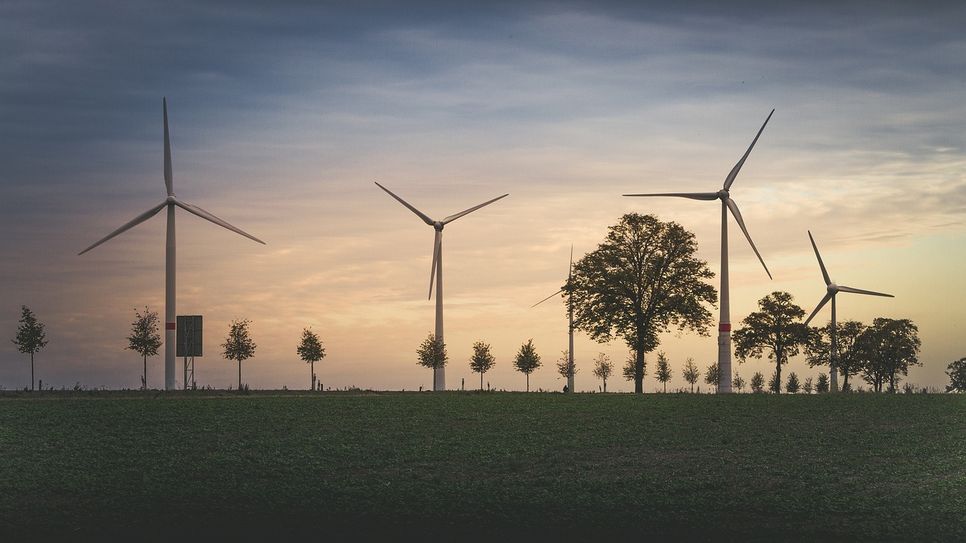 Themenfoto: Damit das Referenzkraftwerk Lausitz auch mit Windenergie versorgt werden kann, sollen im Spremberger Stadtwald neue Windkraftanlagen gebaut werden. Die Stadtverordneten stimmten den Plänen gestern mehrheitlich zu.