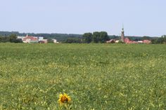 Wenn es nach den Stimmen der Mehrheit im bisherigen Stadtrat geht, könnte hier schon bald ein Gewerbegebiet entstehen. Möchte das auch die Mehrheit der Radeberger Bürger?