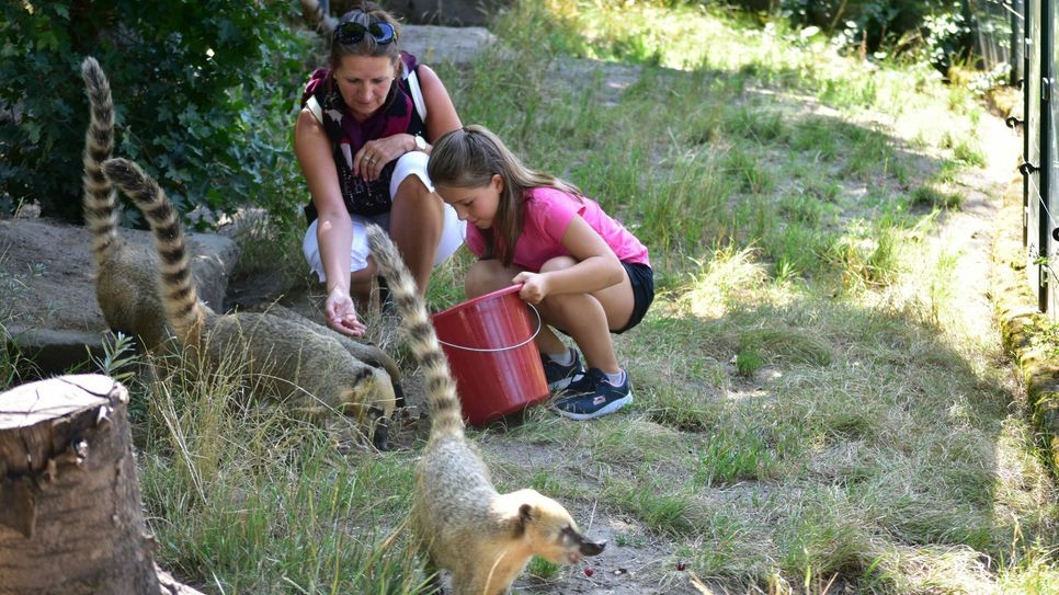 Ramona Rambach und Enkelin Emma (8) durften sogar noch die Nasenbären füttern. Fotos: M. Schiller