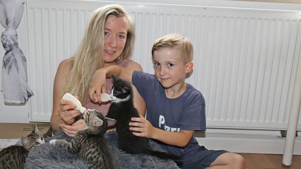 Marleen Hannusch und ihr Sohn Paul kümmern sich derzeit um vier verwaiste Katzenkinder.