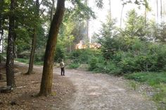 Situationen wie beim Waldbrand 2022 sollen mit der nächtlichen Waldsperrung im Nationalpark vermieden werden.