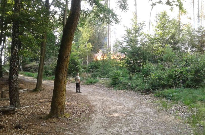 Situationen wie beim Waldbrand 2022 sollen mit der nächtlichen Waldsperrung im Nationalpark vermieden werden.