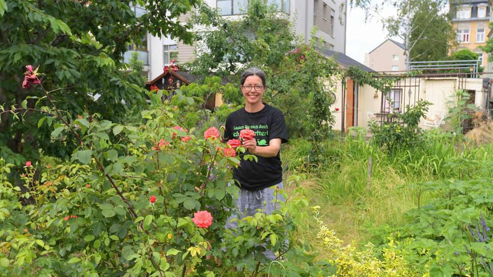 Dresdens Kleingartensparte Flora 1 in Striesen - hier Blick in das Kunsthausgartenprojekt "Parzelle 3" mit  Christiane Mennicke-Schwarz als dies begann.