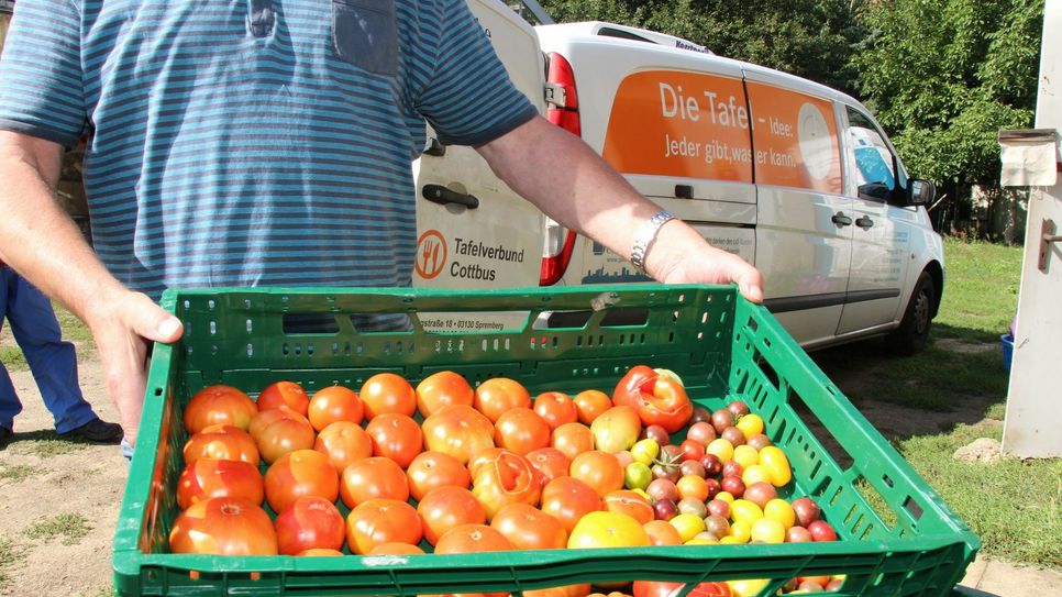 Die Ernte aus dem Tafel- und Sozialgarten geht direkt an die Tafel Cottbus. Ein Tafel-Transporter fährt dienstags und donnerstags den Garten an.  Fotos: sts