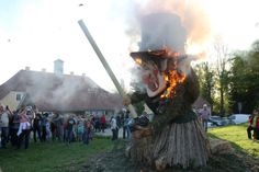 Am 30. April, 19 Uhr wird erneut eine knapp fünf Meter hohe Hexe auf der Festwiese im Schlosspark Graupa in Rauch und Flammen aufgehen. Foto: D. Förster