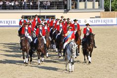 Dressurquadrille bei der Moritzburger Hengstparade.