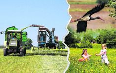 Wie sehen die Menschen in der Lommatzscher Pflege ihren Alltag? - Dazu werden bis November Bilder im neuen Fotowettbewerb gesucht. Collage: Farrar