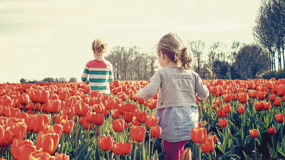 Start in den Frühling in Lenz: Der "Lenzer Frühling".