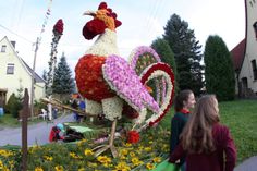 Das Lichtenhainer Blumenfest steigt dieses Wochenende. Foto: D. Förster