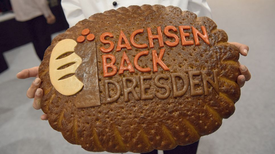 SACHSENBACK DRESDEN