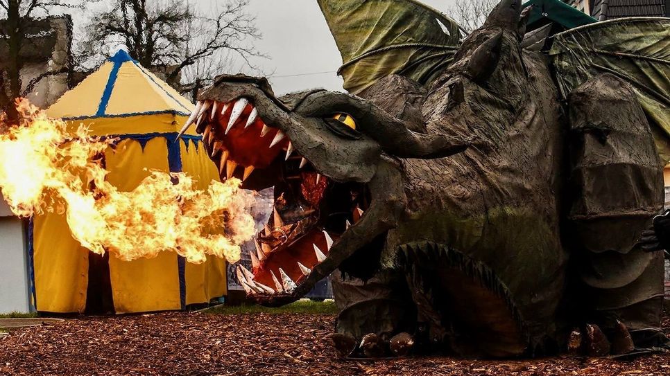 Der Drache »Fangdorn« wird auch auf dem Mittelalterfest in Lauchhammer zu finden sein.