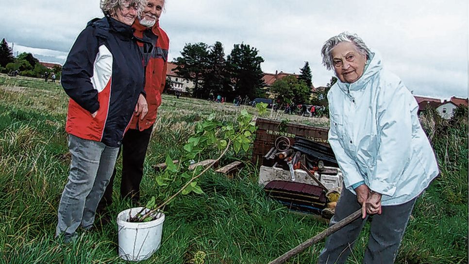 Sie war sicher die älteste Teilnehmern der Pflanzaktion: Sonja Mende aus Hoyerswerda (r.). Begleitet wurde sie von Karin und Helmut Hänsch aus Weißkollm.Foto: rk