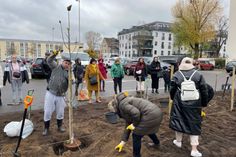 Die ukrainische Gemeinschaft hat sechs Magnolien an der Bahnhofstra0e gepflanzt - als Dank für die Gastfreundschaft der Cottbuser.