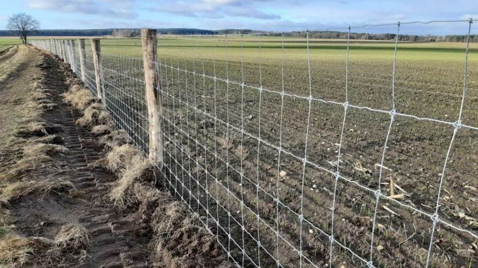 Im Grenzgebiet zwischen Sachsen und Brandenburg wurden neue Zäune aufgestellt. Brandenburg hat sich eingezäunt, um sich gegen die Verbreitung der Schweinepest bestmöglich zu schützen. Foto: Privat