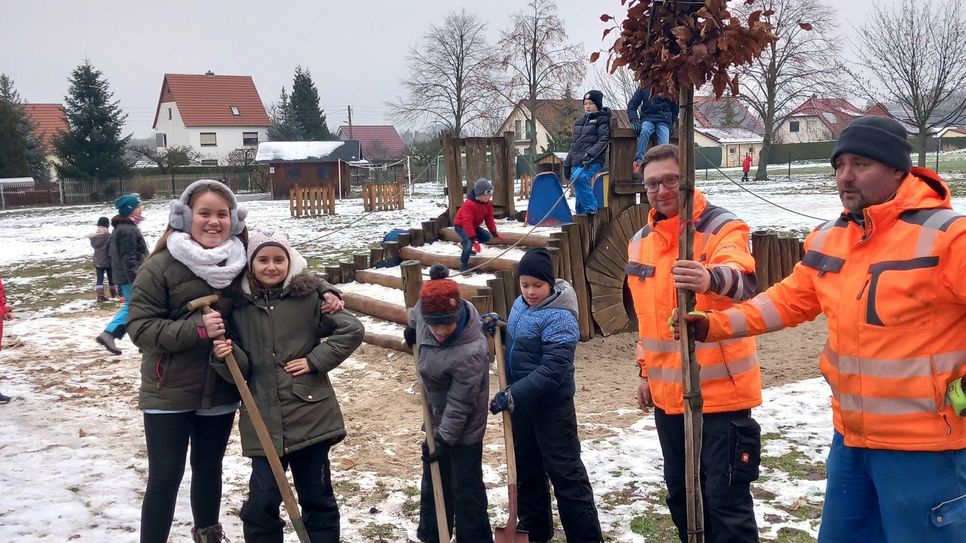 Auf dem Spielplatz der Laußnitzer Grundschule wurde eine Hainbuche gepflanzt. Foto: pm