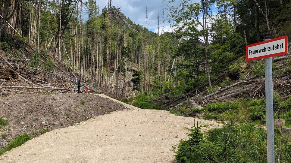 Hohe Brandlast auf einem Einsatzweg an einer Löschwasserzisterne am Großen Zschand, Zustand vom Juni 2024.