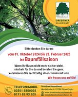 Baumfällsaison 2024