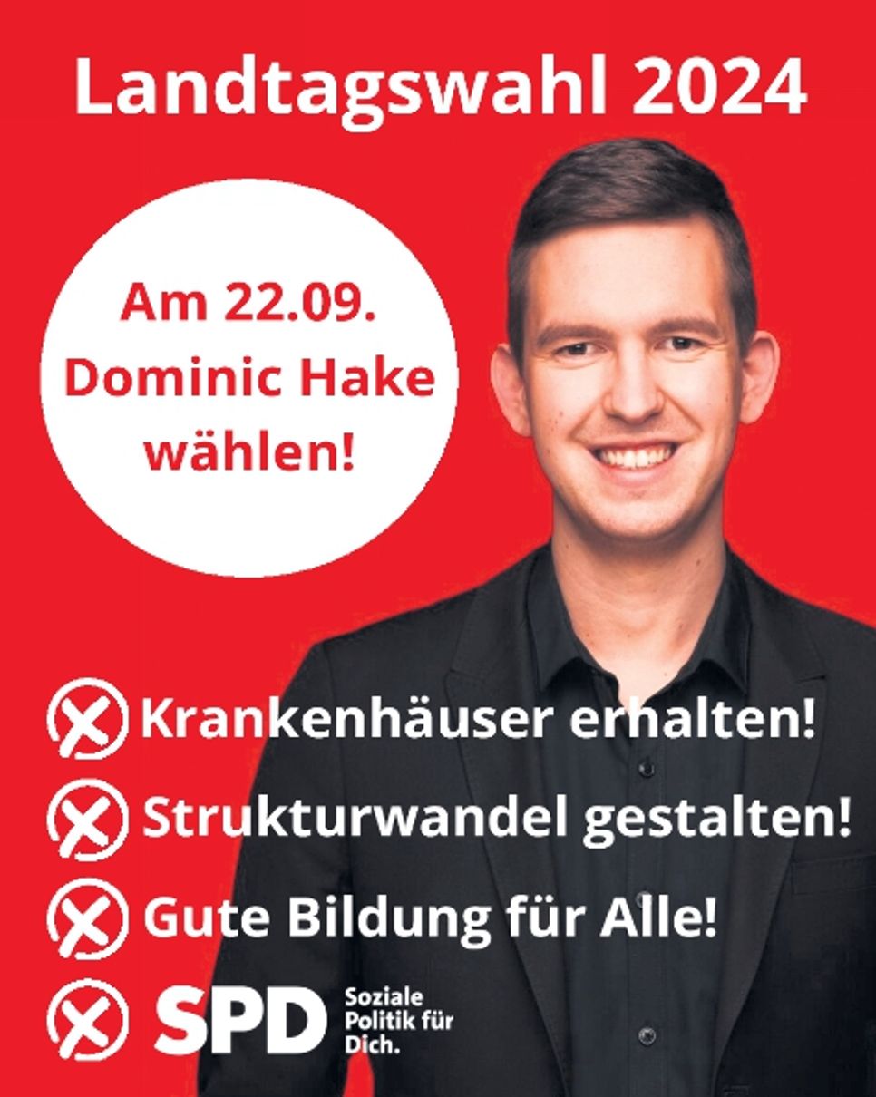 SPD Landtagswahl D.Hake