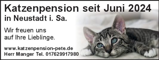 Katzenpension Manger Neues aus Neustadt