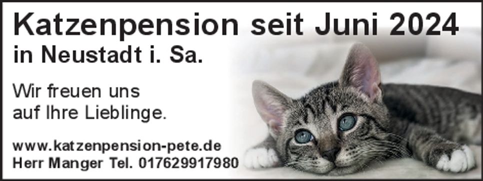 Katzenpension Manger Neues aus Neustadt