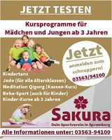 Kurse für Kinder_Sakura SPB