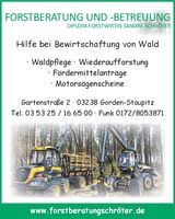 Hilfe bei Bewirtschaftung von Wald