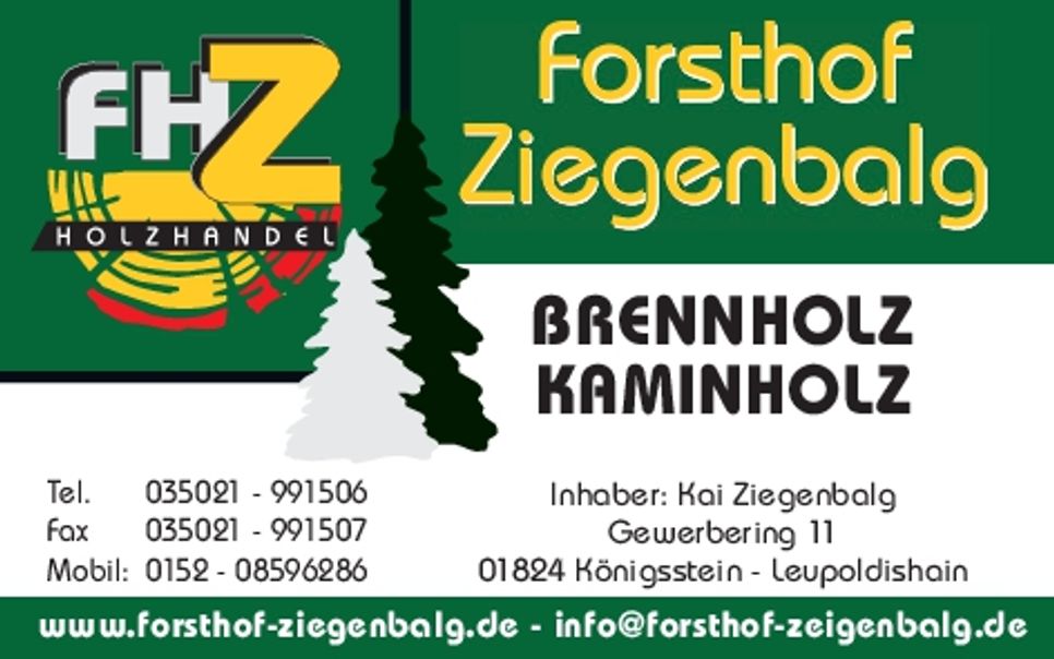 Forsthof Ziegenbalg Kamin-Brennholz