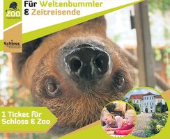 Zoo/Kultur