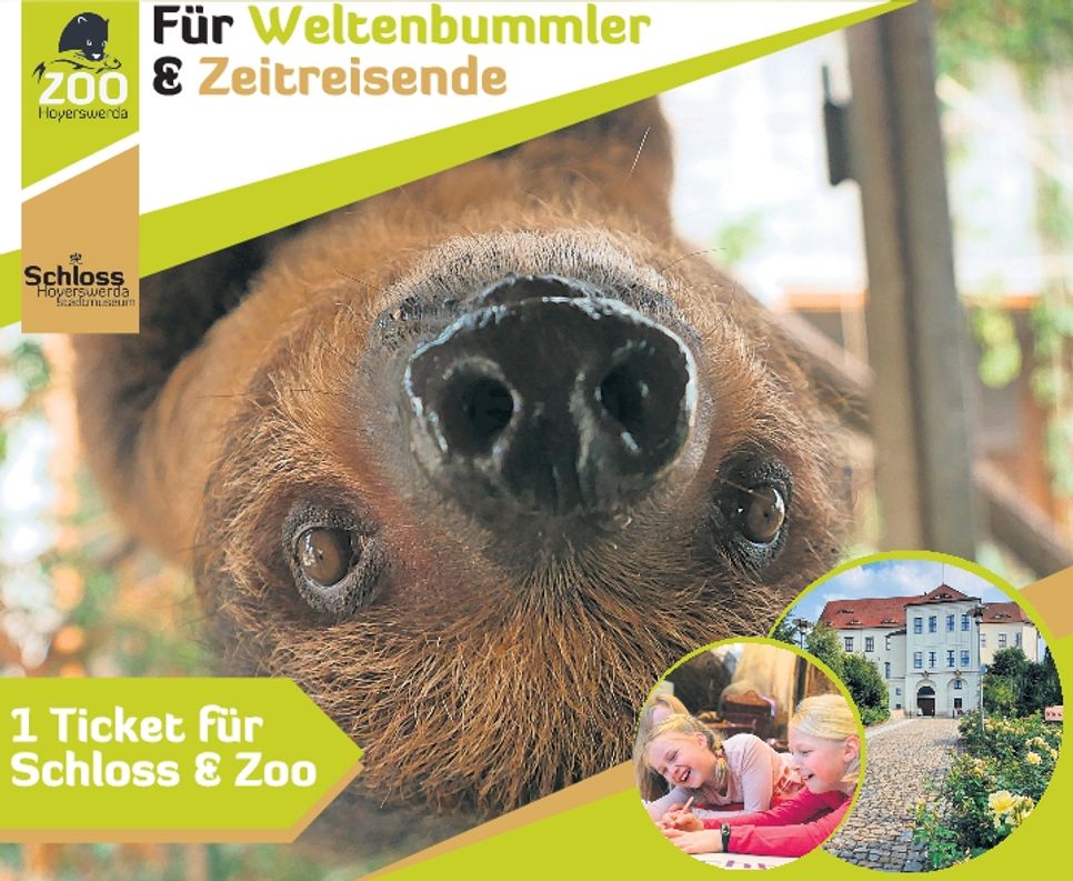 Zoo/Kultur