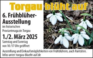 Förderverein Landesgartenschau 2022 Torg