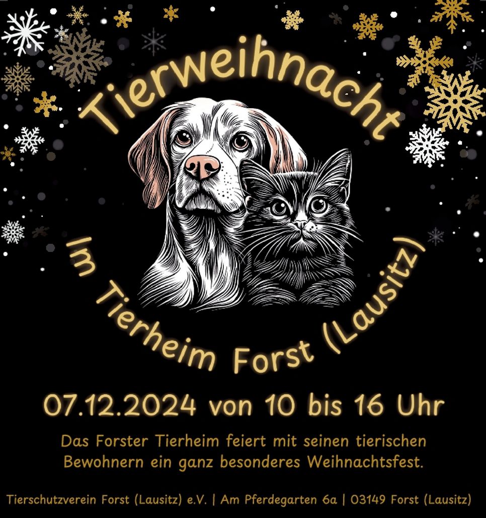 Tierweihnacht im Tierheim Forst