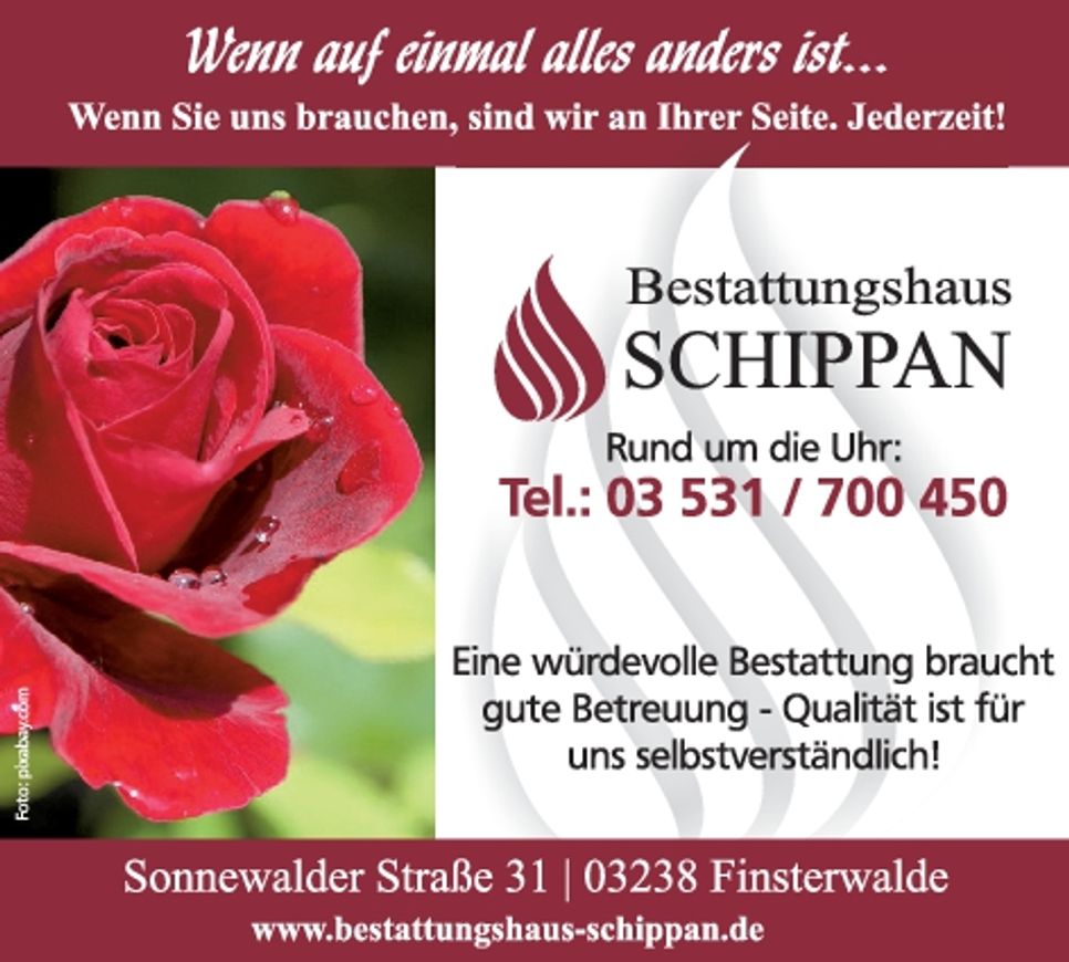 Schippan Image Rose